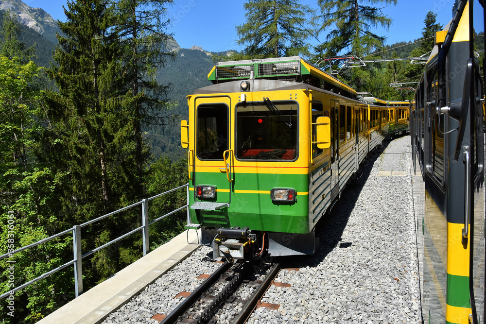 Obraz premium Beautiful scenery with yellow and green train - Bernese Highlands Railway, from Lauterbrunnen village to Grindelwald , Jungfrau region, Bernese Oberland, Switzerland