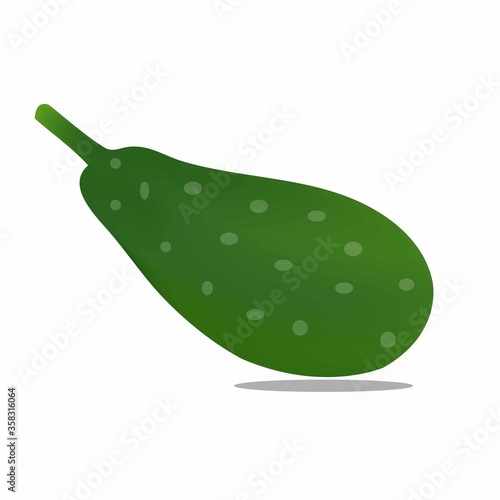 Bottle gourd icon. Flat illustration of bottle gourd vector icon