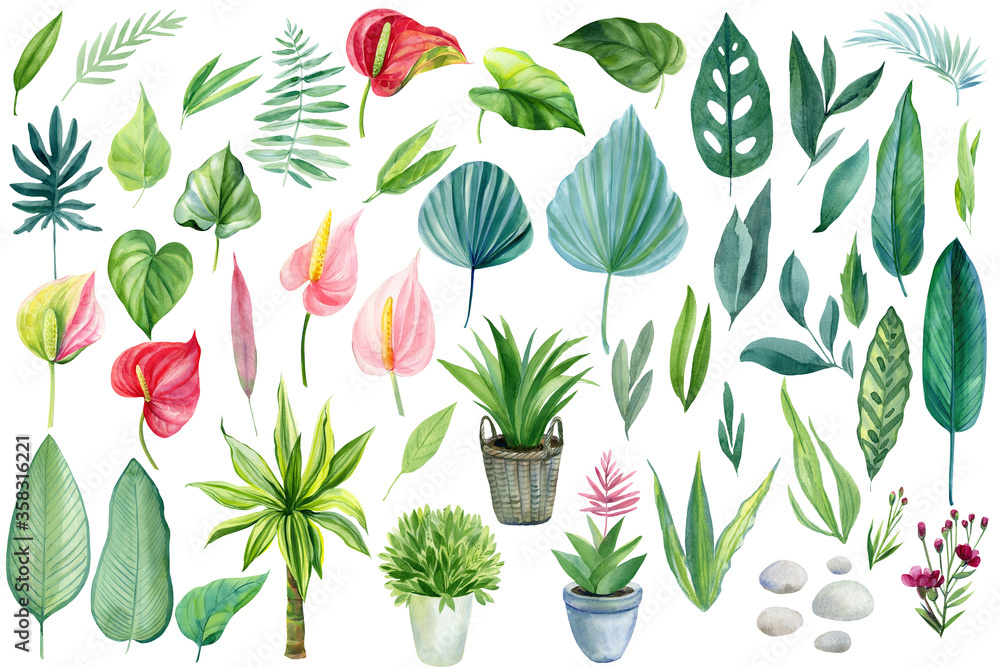 set of jungle plants, leaves, flowers watercolor boho illustration