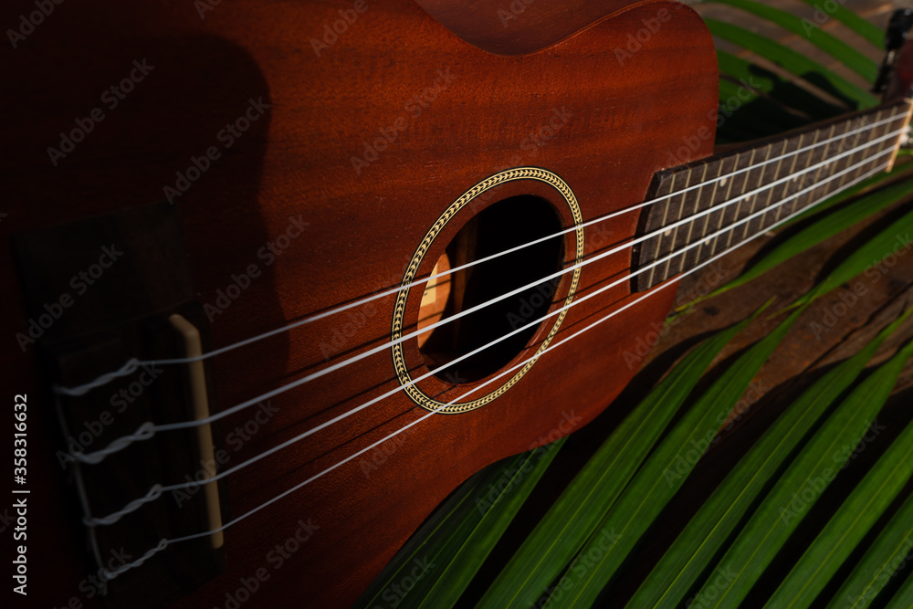 Obraz premium Brown Ukulele