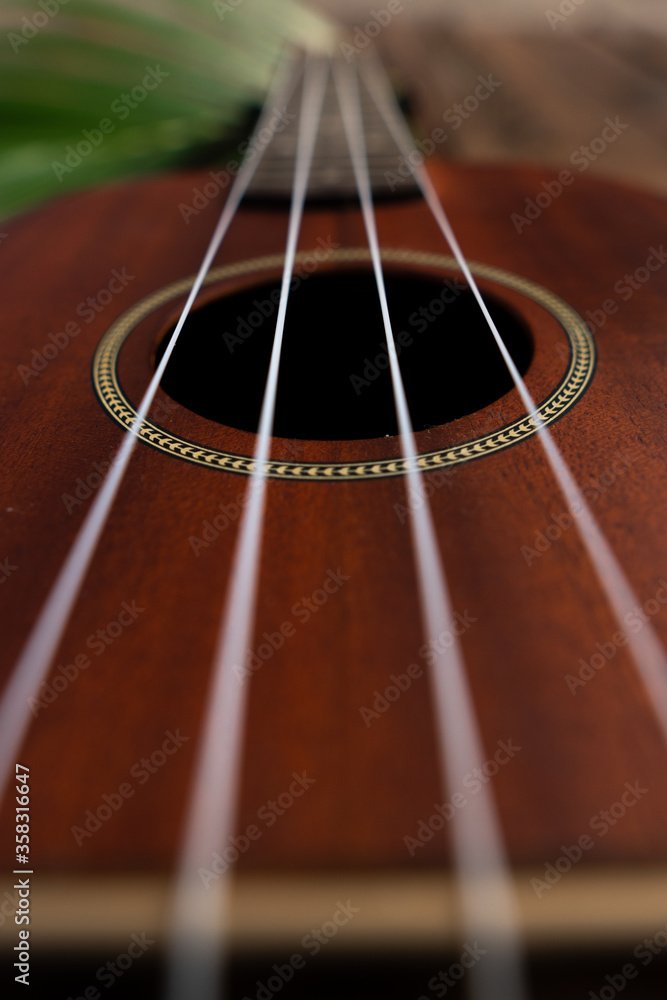 Obraz premium Brown Ukulele