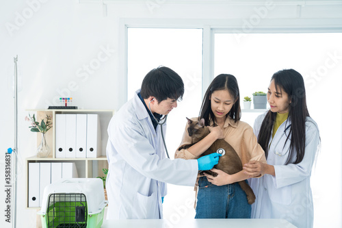 Veterinary examination of cat health. The girl is carrying the cat for the vet to check the health.