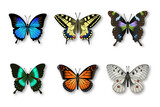 set of colorful butterflies