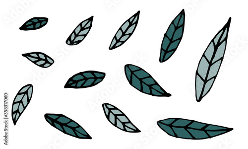 Collection of hand drawn leaves. Doodle illustration. Simple floral elements isolated on white background