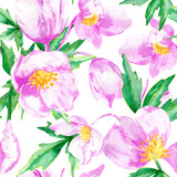 watercolor floral seamless pattern with pink flowers anemones on a white background.
