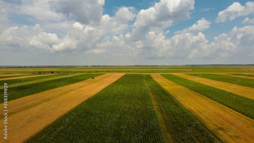 Obraz premium Agricultural field in a cloudy day
