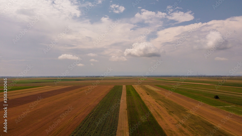 Agricultural field in a cloudy day Agricultural field in a cloudy day
