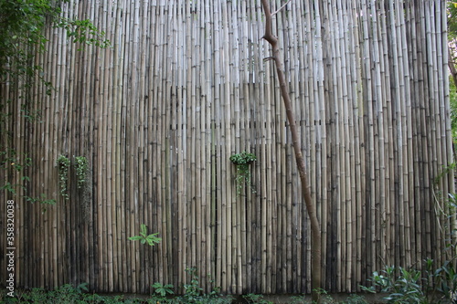 old wooden fence