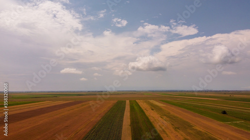 Agricultural field in a cloudy day