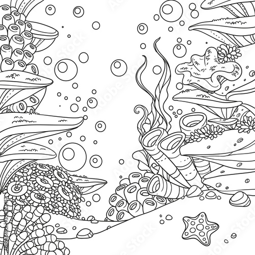 Underwater world with corals, seaweed, anemones outlined isolated on white background