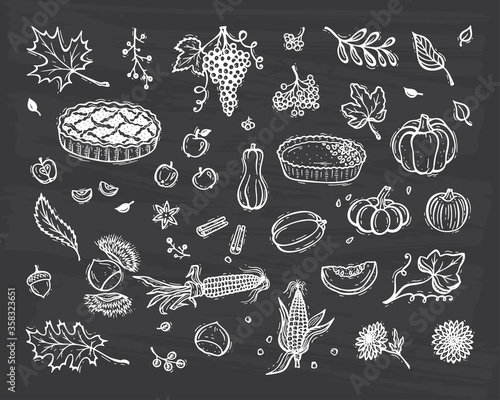 Thanksgiving icon Vector set. Food. Fruits, Vegetables and Berries. Autumn Harvest symbols. Hand Drawn Doodle Apple pie, Pumpkin pie, Pumpkins, Corn, Grapes, Chestnuts, Apples, Leaves, Flowers
