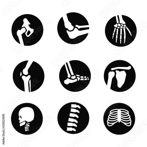human bone and joint icon set flat design