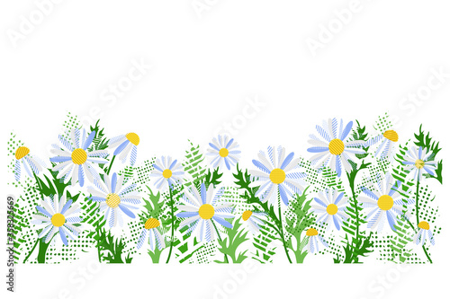 Vector camomile flowers with green leaves panorama on a white background. Spring landscape. For use on website, banner, poster, school, children. Vector illustration