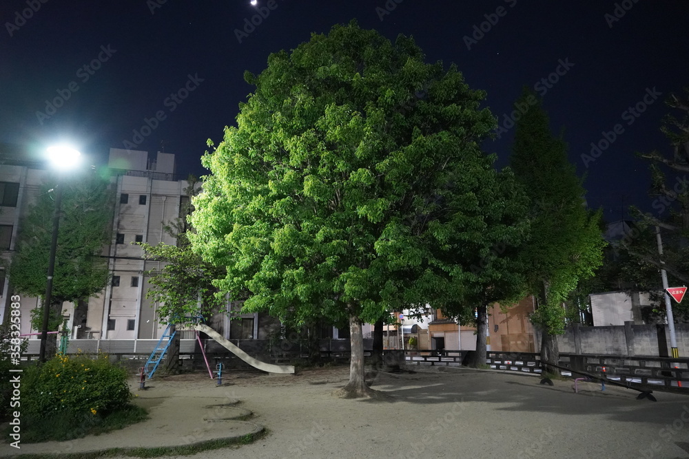 日本　京都　公園　深夜　夜　安らぎ　旅行　ゲストハウス　遊具　大きな木　木　夜　思い出　電話