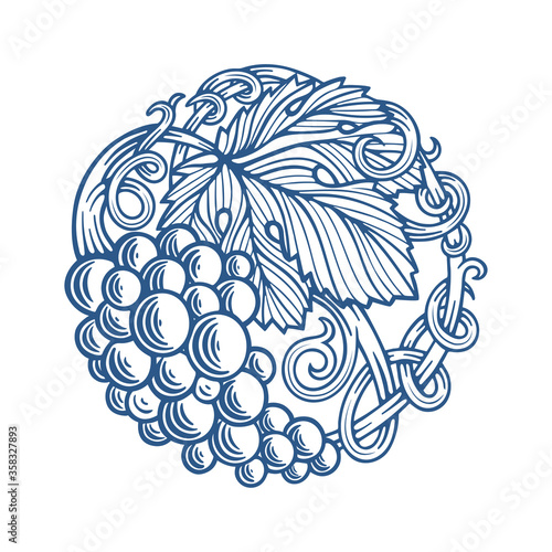Grape and vine hand drawn vector illustration. Grapevine engraving style drawing. Part of set.