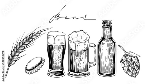 Set of beer stuff, wheat, cap, glass, mug, bottle, hop, hand drawn vector