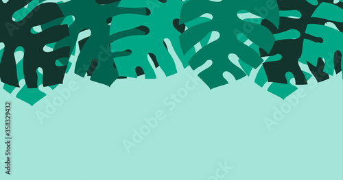 sfondo, foglie, piante, palma, tropicale, giungla