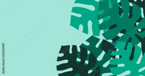 sfondo, foglie, piante, palma, tropicale, giungla