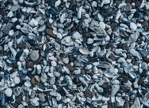 Shells and sea pebbles beach