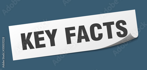 key facts sticker. key facts square isolated sign. key facts label