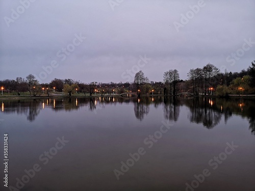 Night view of the city - lake in the park