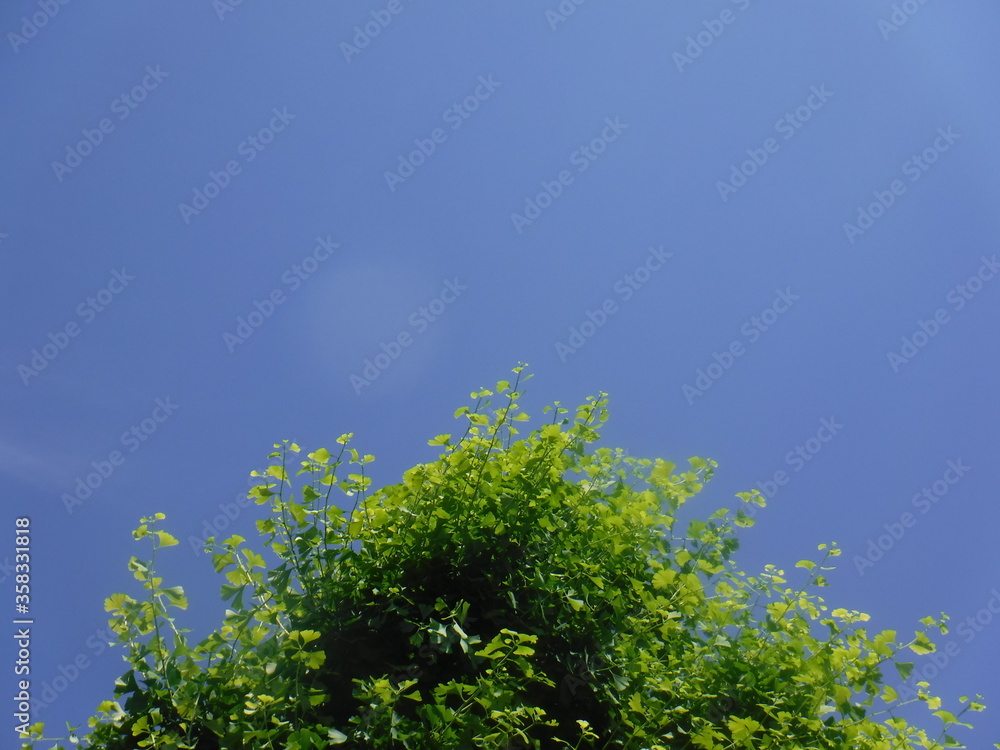 それぞれが　それぞれに　向かって