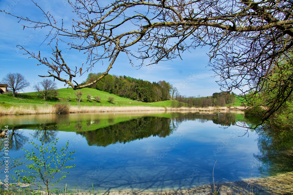 The main pond in Hauptwil, Switzerland