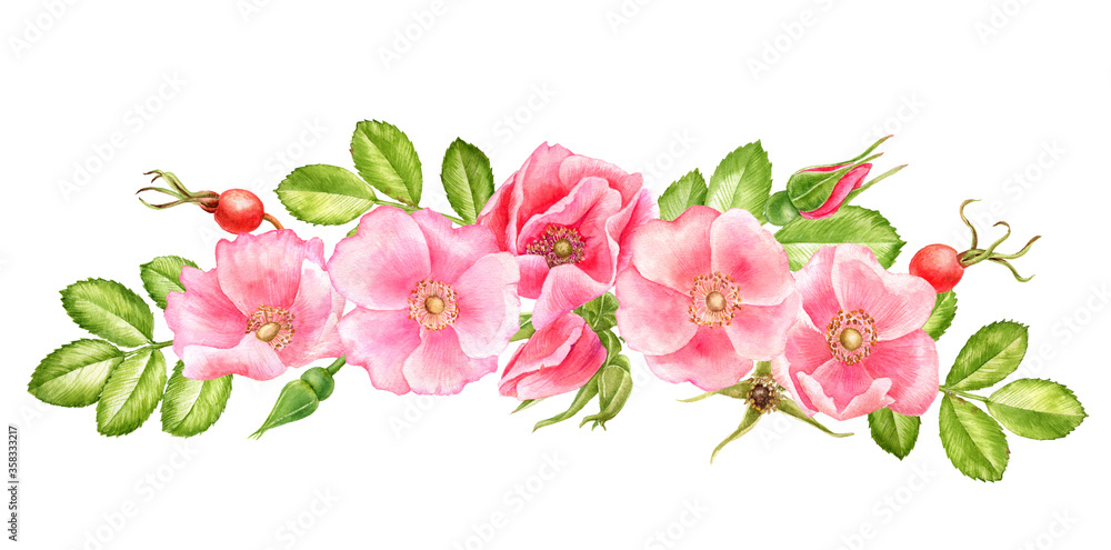 watercolor drawing flowers of wild roses