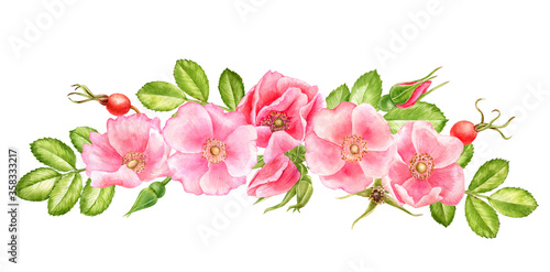 watercolor drawing flowers of wild roses