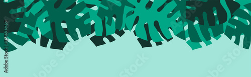 sfondo, foglie, piante, palma, tropicale, giungla