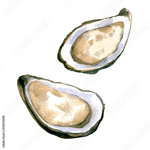 Seafood set: oysters. Watercolor illustration isolated on white background.