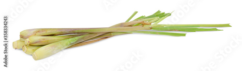 Fresh Lemon grass on a white background, clipping path.