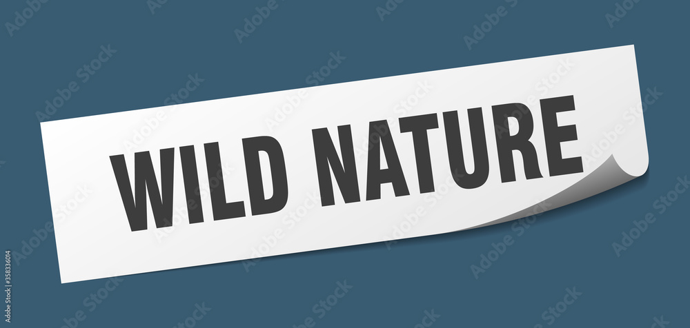 wild nature sticker. wild nature square isolated sign. wild nature label