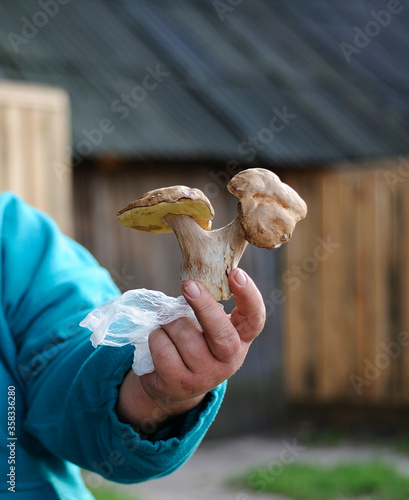 Womans hand showing two-headed mushroom