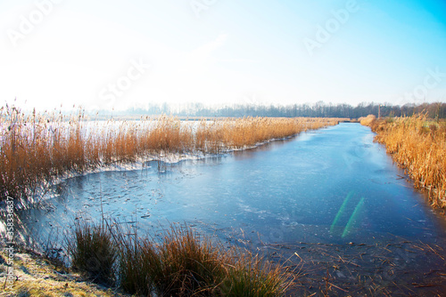 Fototapeta Naklejka Na Ścianę i Meble -  beautiful nature reserve in the Netherlands in winter, frozen ditch