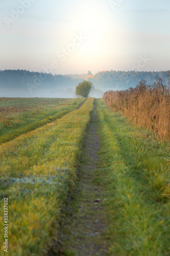 Rural Idyllic Landscape In Germany