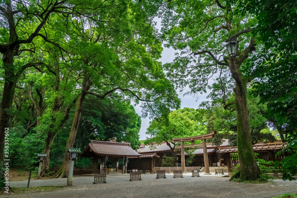 東京都渋谷区代々木にある神社の境内の景色