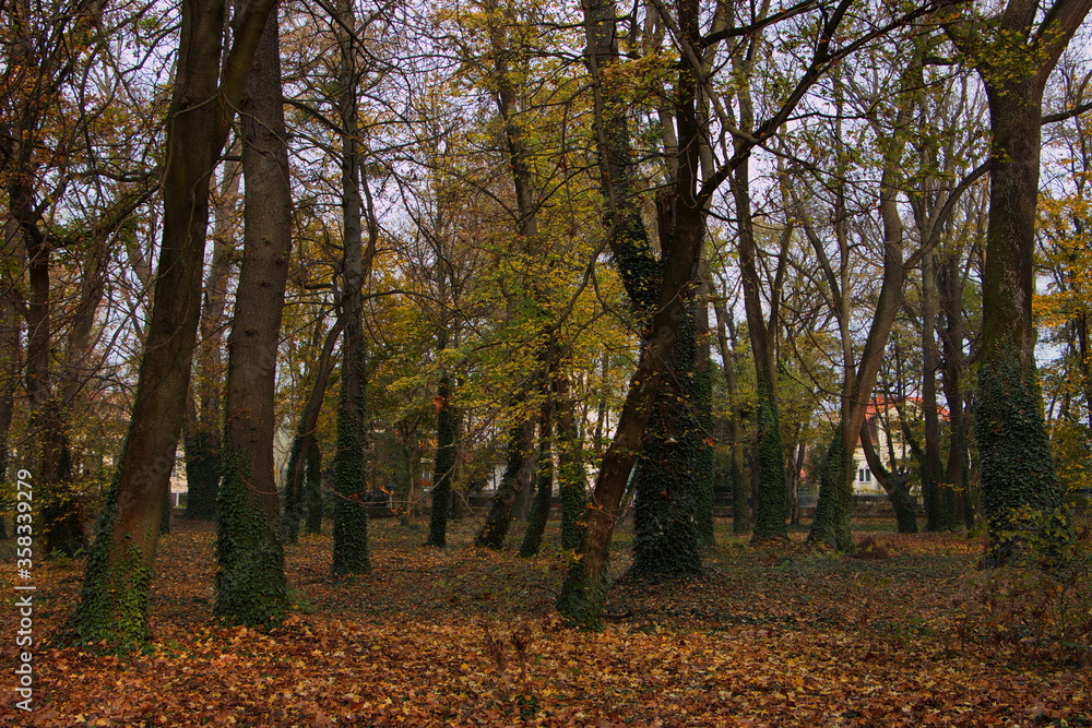 Autumn in Helikon park in Keszthely in Hungary,Europe
