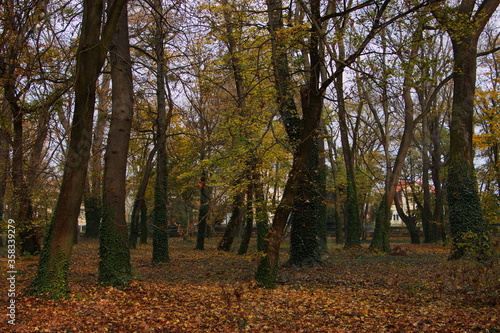 Autumn in Helikon park in Keszthely in Hungary,Europe 