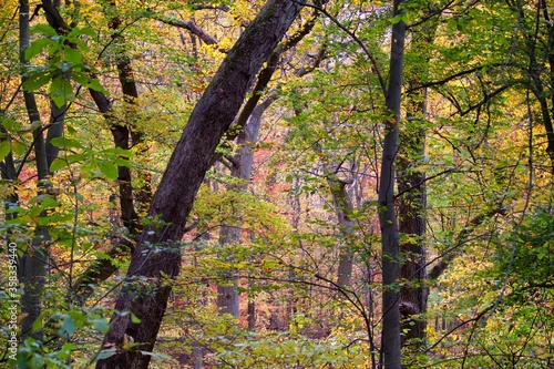 Colorful fall foliage scenes in Philadelphia's Wissahickon Valley on an early autumn afternoon.