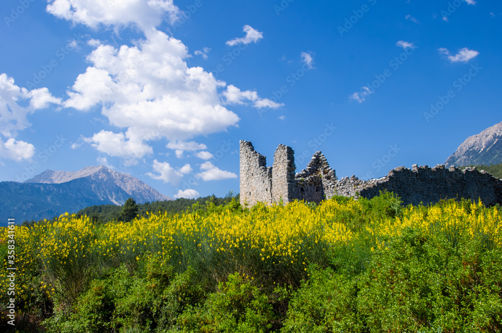 Fototapeta premium ruins of antique watchtower, spring, Turkey