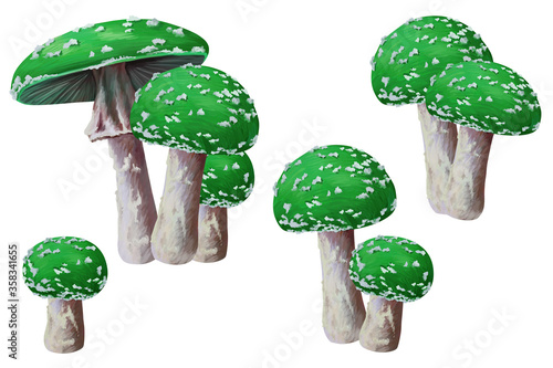 Bright green fly amanita mushrooms set. Autumn forest clip art on white background