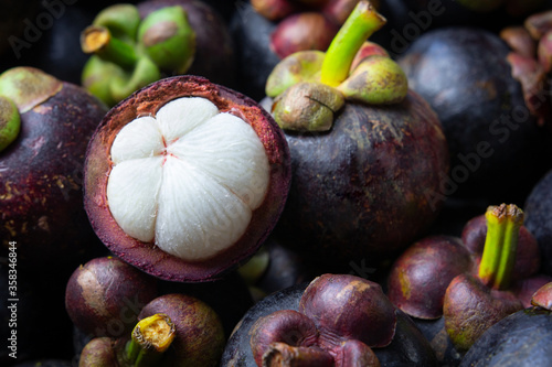 Fresh ripe mangosteen. Queen of fruit in Thailand. Showing the thick purple skin and white flesh photo