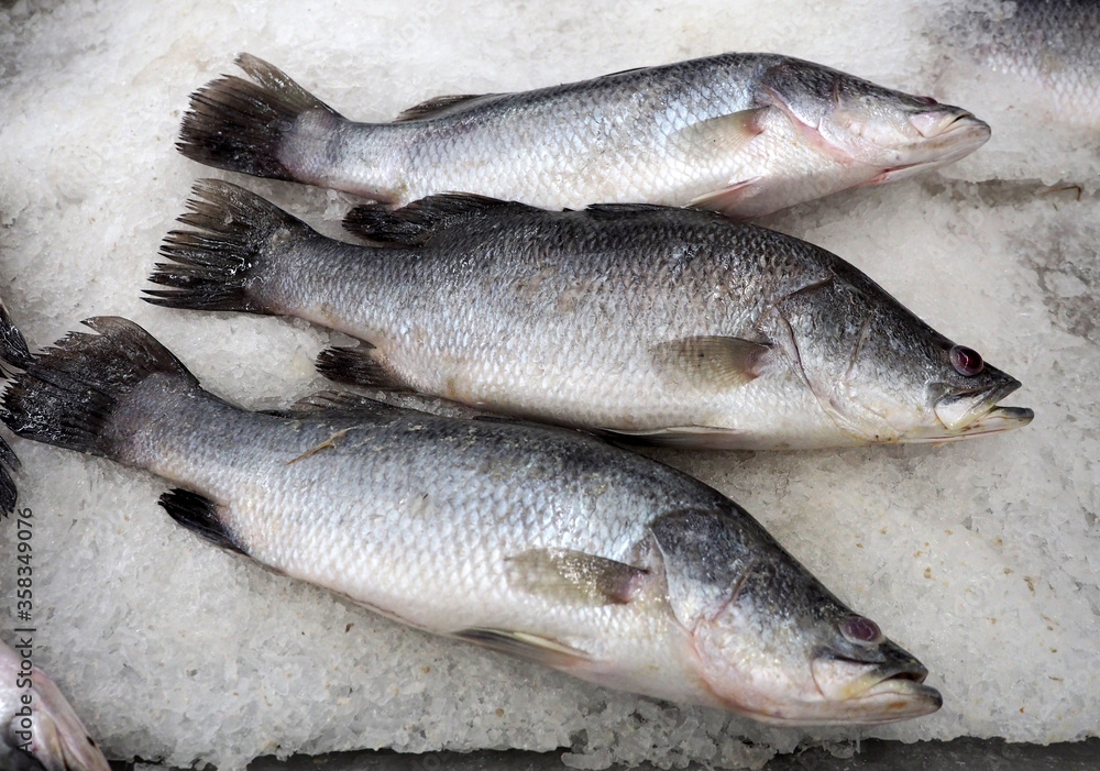 Fresh fish on ice at local market in Thailand. Fresh fish on ice at local market in Thailand.