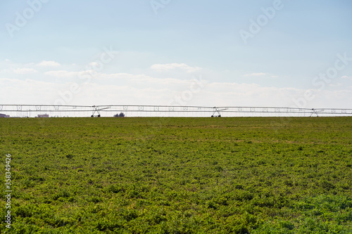agriculture fields irrigated with groundwater in desert area © Juan Alberto Ruiz