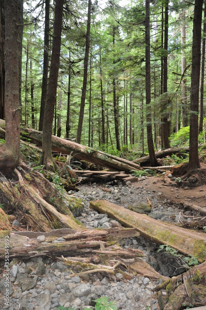 Obraz premium Canada6172020