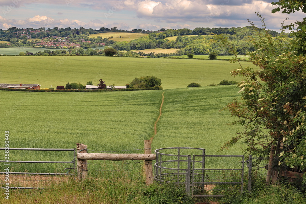 Obraz premium An English Rural Landscape in the Chiltern Hills