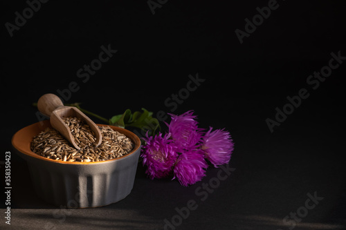 Milk thistle (Silybum marianum) seeds in ceramic bowl lit by sunlight on a black background. Medical plants. Alternative medicine. 