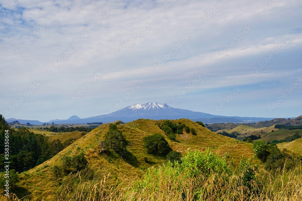 Mt. Tangariro - small Mt. Ngauruhoe in far - green landscape in front.