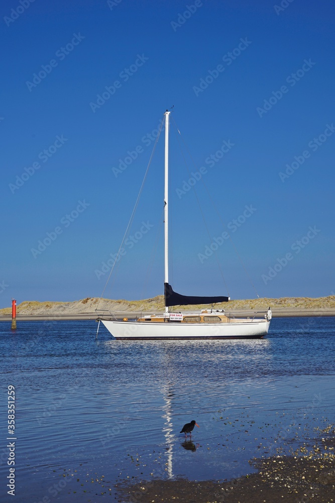 sailing yacht anchor in shallow water, sunny blue sky, oystercatcher in